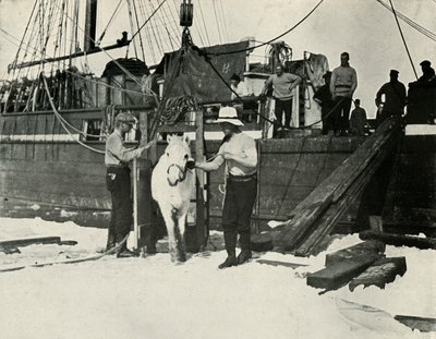 Disembarking the Ponies by Herbert Ponting