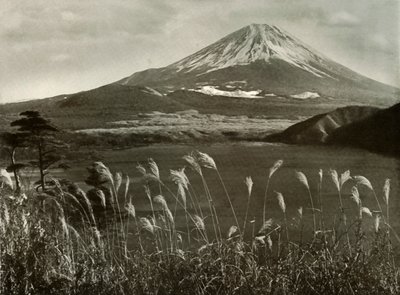Fuji and the Kaia Grass by Herbert Ponting