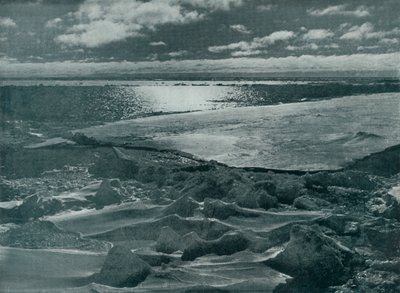 Moonlight in the Pack, c1910-1913 by Herbert Ponting