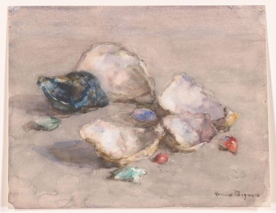 Shells on the Beach by Herman Bogman (signed by artist)