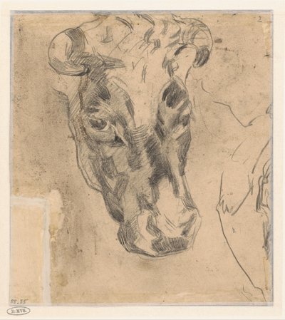 Head of a Cow with Horns by Herman Kruyder