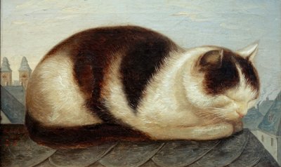 Cat by Hermann Anschütz