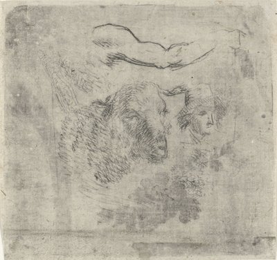 Study Sheet with Sheep by Hermanus Fock