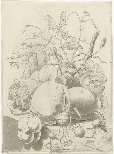 Fruits and a Branch with a Butterfly by Hermanus Fock