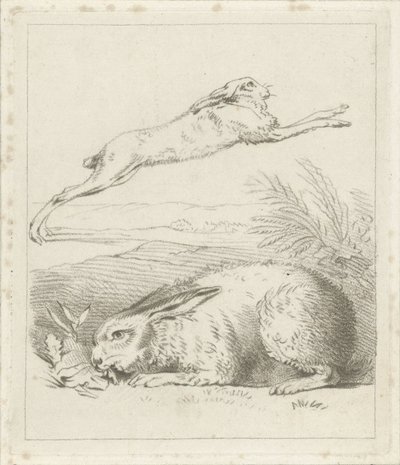 Hare and Rabbit by Hermanus Numan