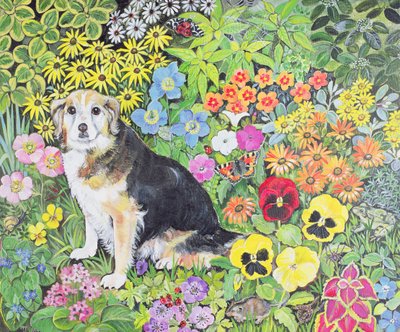 Caylie in the Border by Hilary Jones