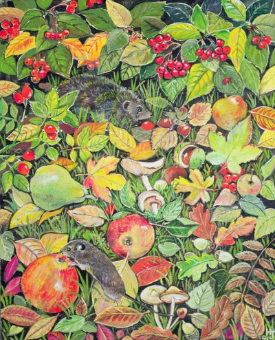 Foraging by Hilary Jones