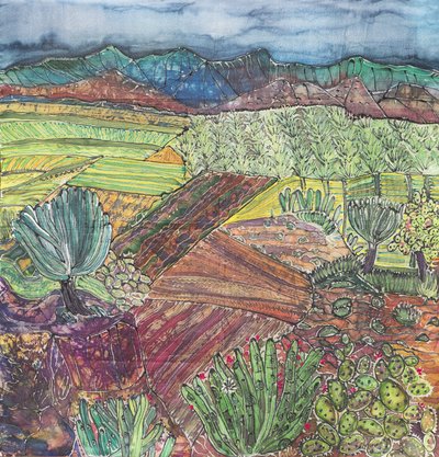 Oaxaca Landscape by Hilary Simon