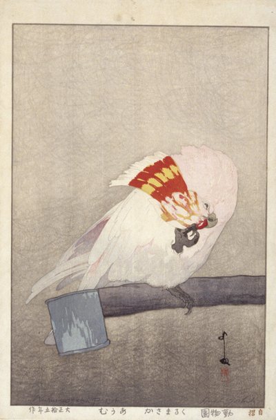 Cockatoo On Feeder by Hiroshi Yoshida