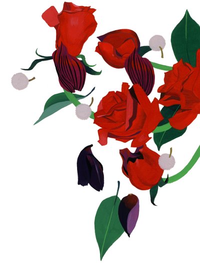 Red Rose by Hiroyuki Izutsu