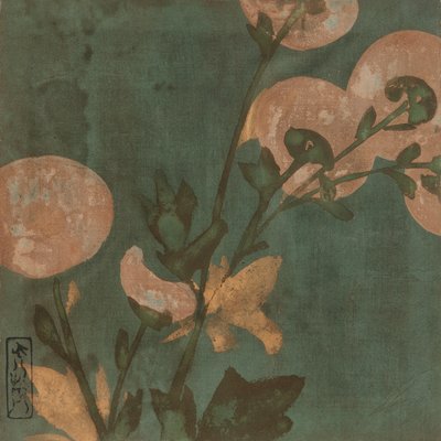 Chrysanthemums, Edo Period, Late 16th-Early 17th Century by Hon
