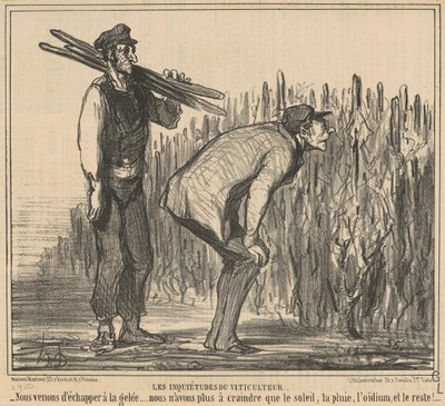 The Worries of the Winemaker by Honoré Daumier