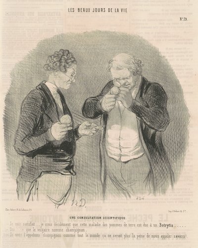 A Scientific Consultation by Honoré Daumier