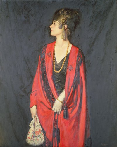 The Red Burnous by Howard Somerville