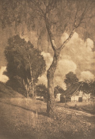 Camera Work: Pomeranian Motif by Hugo Henneberg