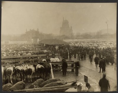 Concerning Events at Slaughterhouse: The Stockyard by Iakob Vladimirovich Shteinberg