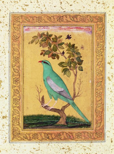 Green Bird, Mughal by Indian School