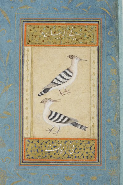 Hoopoes by Indian School