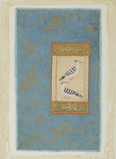 Hoopoes by Indian School