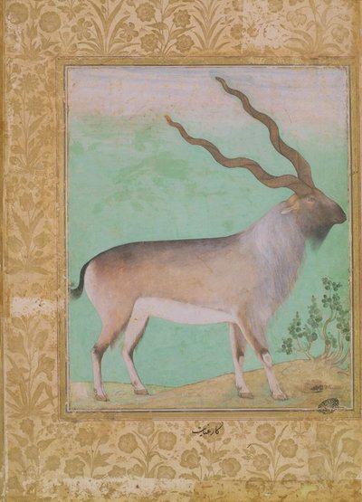 Ibex, Mughal by Indian School