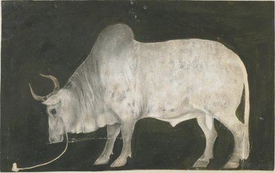 Indian Bull by Indian School