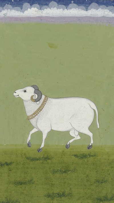Ram with Golden Collar by Indian School
