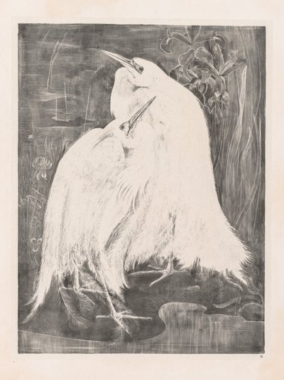 Animal Studies: Two Silver Herons by Isaac Oliver