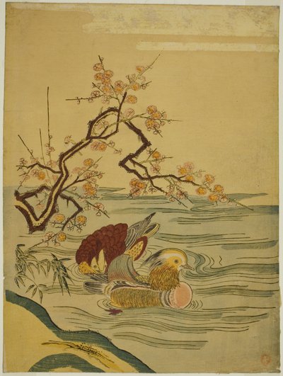 Mandarin Ducks Swimming under Plum Branch by Isoda Koryusai