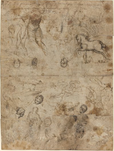Sheet of Studies by Italian 16th Century