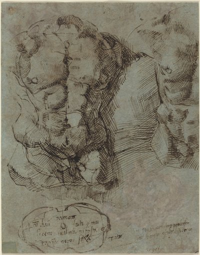 Studies of a Male Torso by Italian 16th Century
