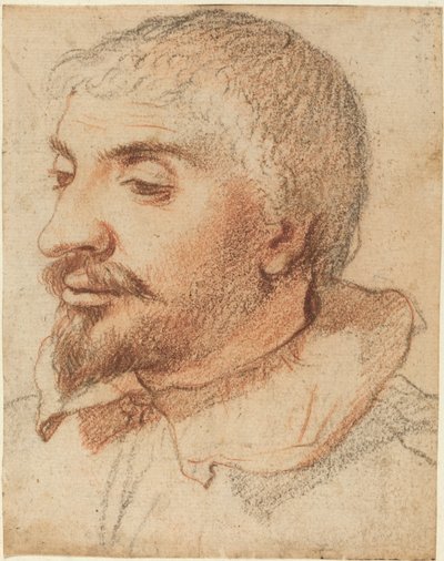 Head of a Man by Italian 17th Century