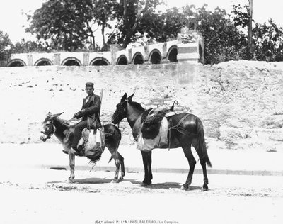 A Campiere, Palermo by Italian Photographer
