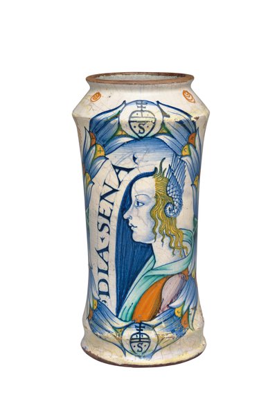 A Deruta Maiolica "Bella Donna" Albarello, c.1510-20 by Italian School