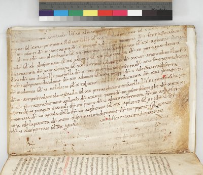 Carta Pisano by Italian School