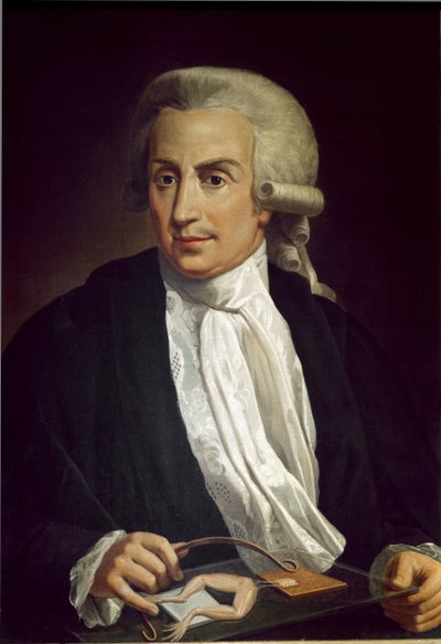Luigi Galvani with Frog Specimen by Italian School