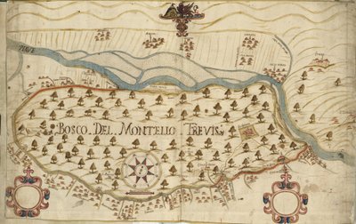 Montello, Map, 18th Century, Veneto, Italy by Italian School