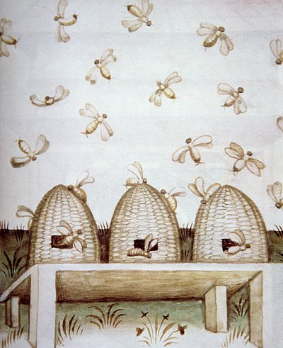 Beehives, from Tacuinum Sanitatis by Italian School
