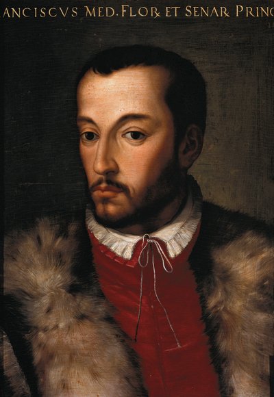 Portrait of Francesco I de Medici by Italian School
