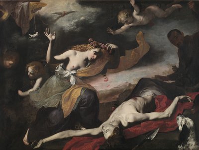 Venus Discovering the Dead Adonis, c.1650 by Italian School