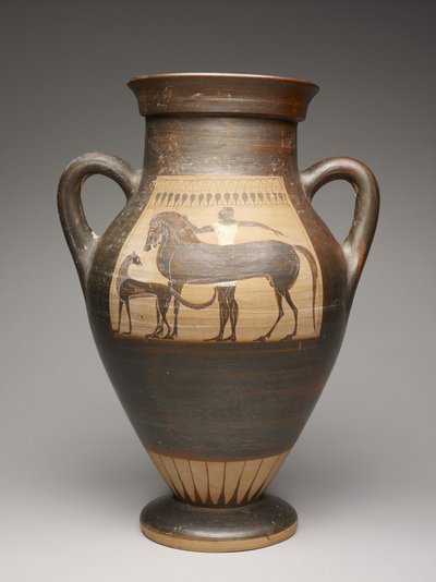 Amphora by Ivy Leaf Group