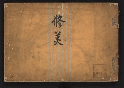 Study of Beauty by Iwasaki Shôun