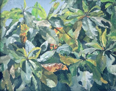 Plants by Izabella Godlewska de Aranda