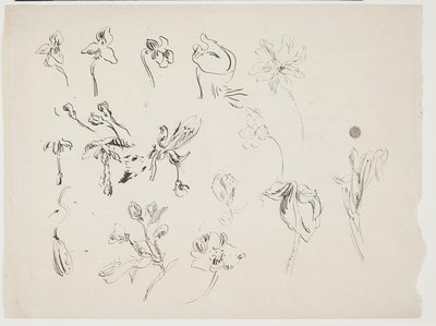 Flower Sketches by J.A. Jerichau