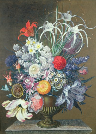 Unknown Image by J.A. Simson