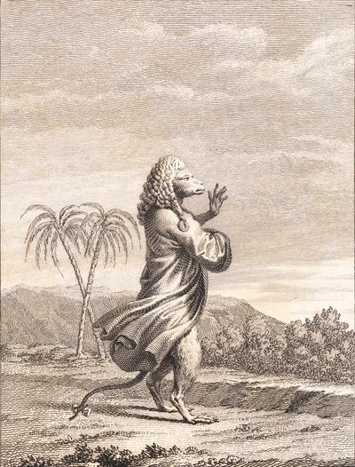 A Martinique Monkey by J.F. Clemens