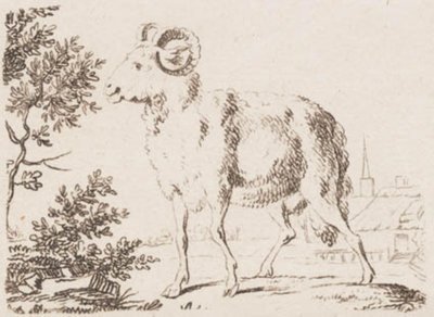 A Ram by J.F. Clemens