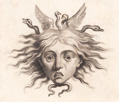 Medusa Head by J.F. Clemens