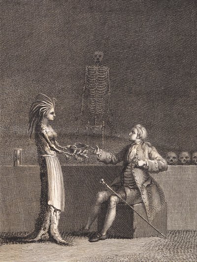 Niels Klim in the Anatomy Chamber by J.F. Clemens