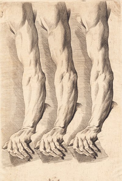 Study Sheet of Arms by J.F. Clemens