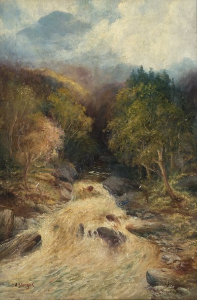 A Mountain Forest by J.H. Stanger